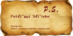 Palágyi Sándor névjegykártya
